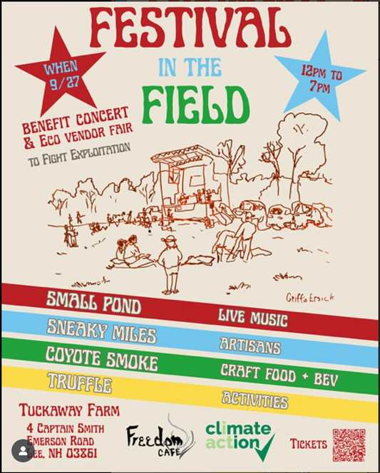 Festival in the Field