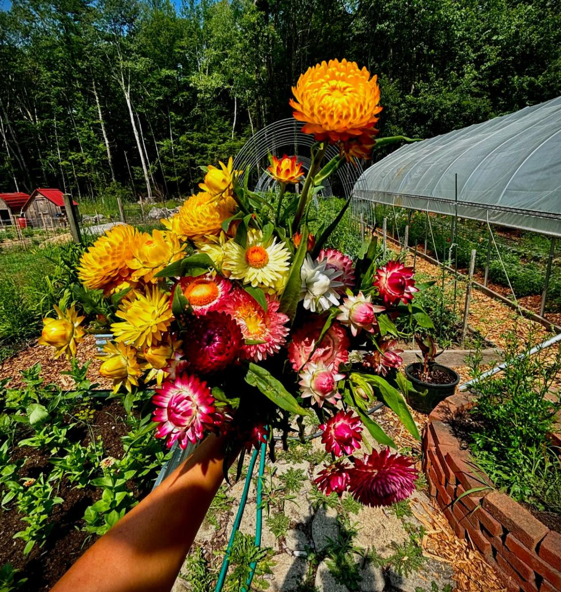 Flower subscription