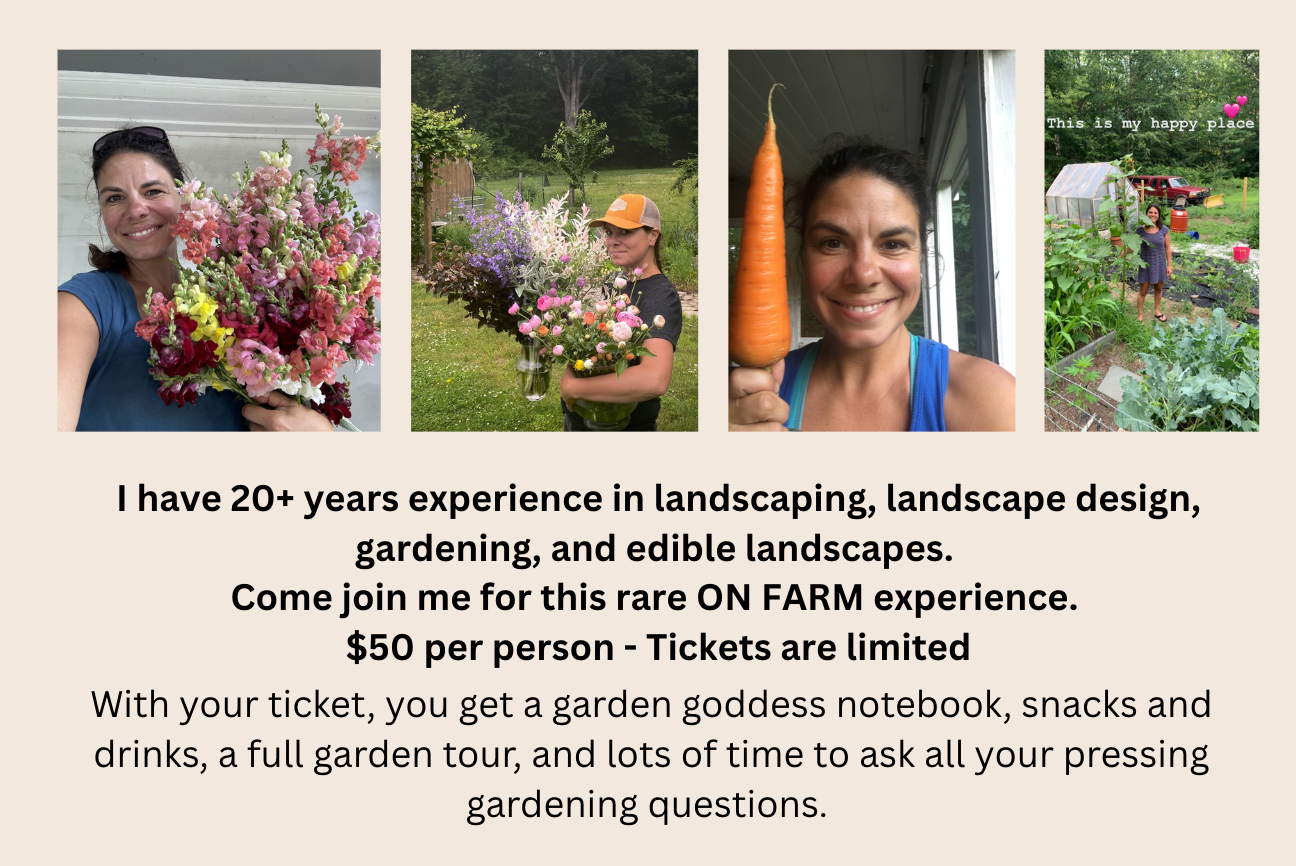 Intro to Gardening Workshop