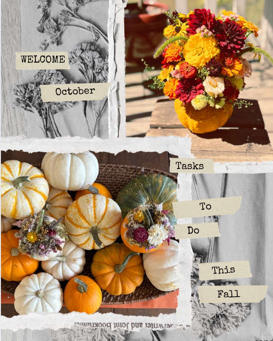 Fall in the Garden: What to Do Before Winter Rest