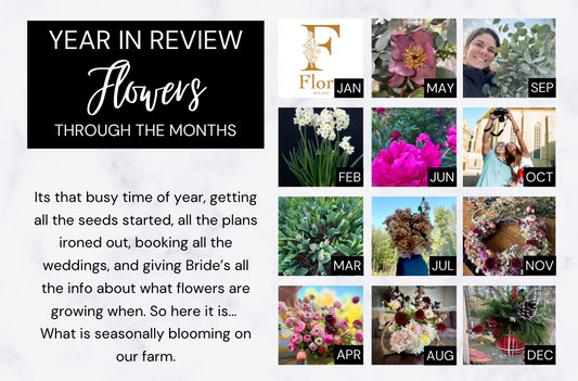 A Year of Blooms (pt 1)
