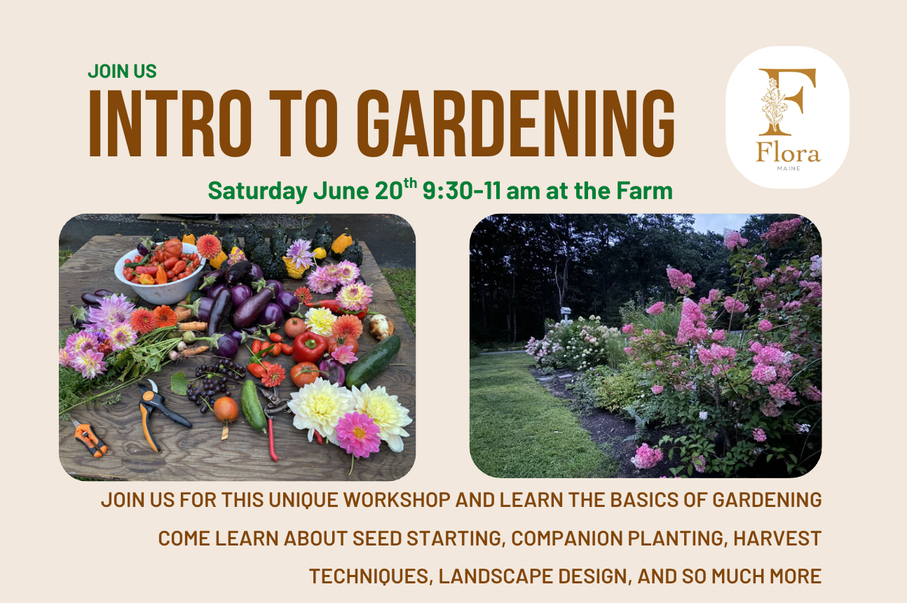 Intro to Gardening Workshop